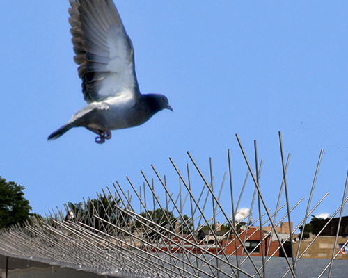 ANTI BIRD SPIKES